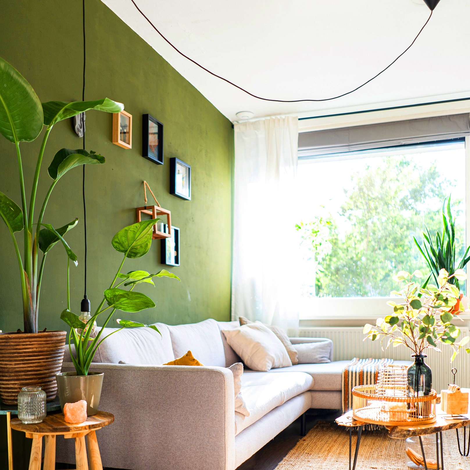 Cara Kerja Silver Ion Melawan Mikroba