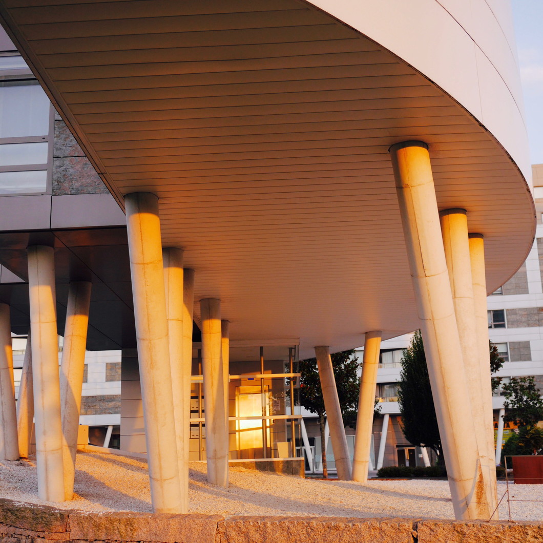 Bangunan dengan Plafon Metal Bangunan dengan Plafon Metal