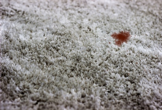 membersihkan-noda-karpet