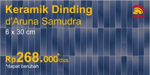 Roman dAruna Samudra