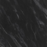 HPL MBA 2006 C M / Black Fontia