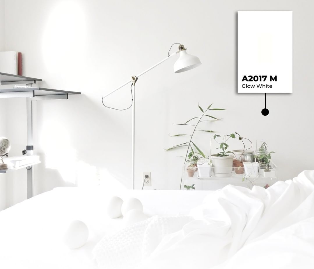 arborite-hpl-solid-color-a2017m-glow-white-pelapis-furniture