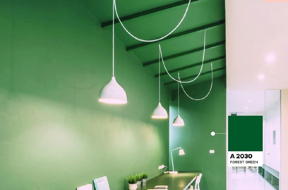 arborite-hpl-solid-color-a2030m-forest-green-pelapis-furniture