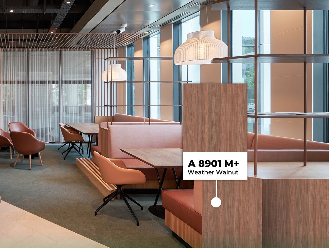 arborite-hpl-woodgrain-a8901m-weather-walnut-pelapis-furniture