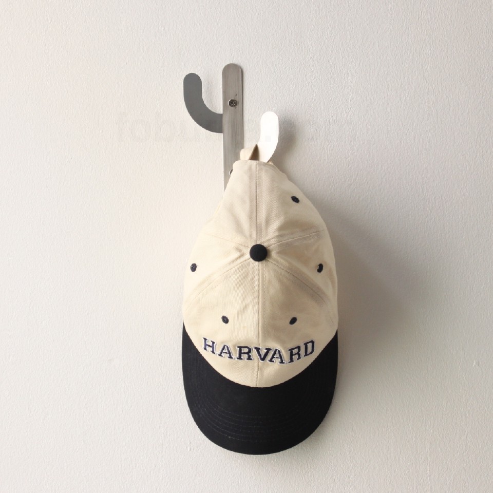 gantungan-dinding-kaktus