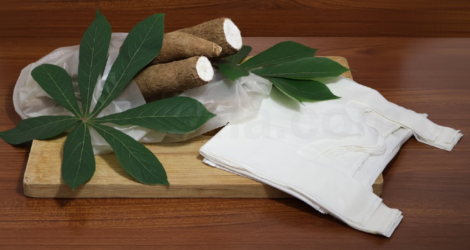 T-Shirt Ketela Bag 4