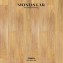 Monostar SPC Flooring Astera 6
