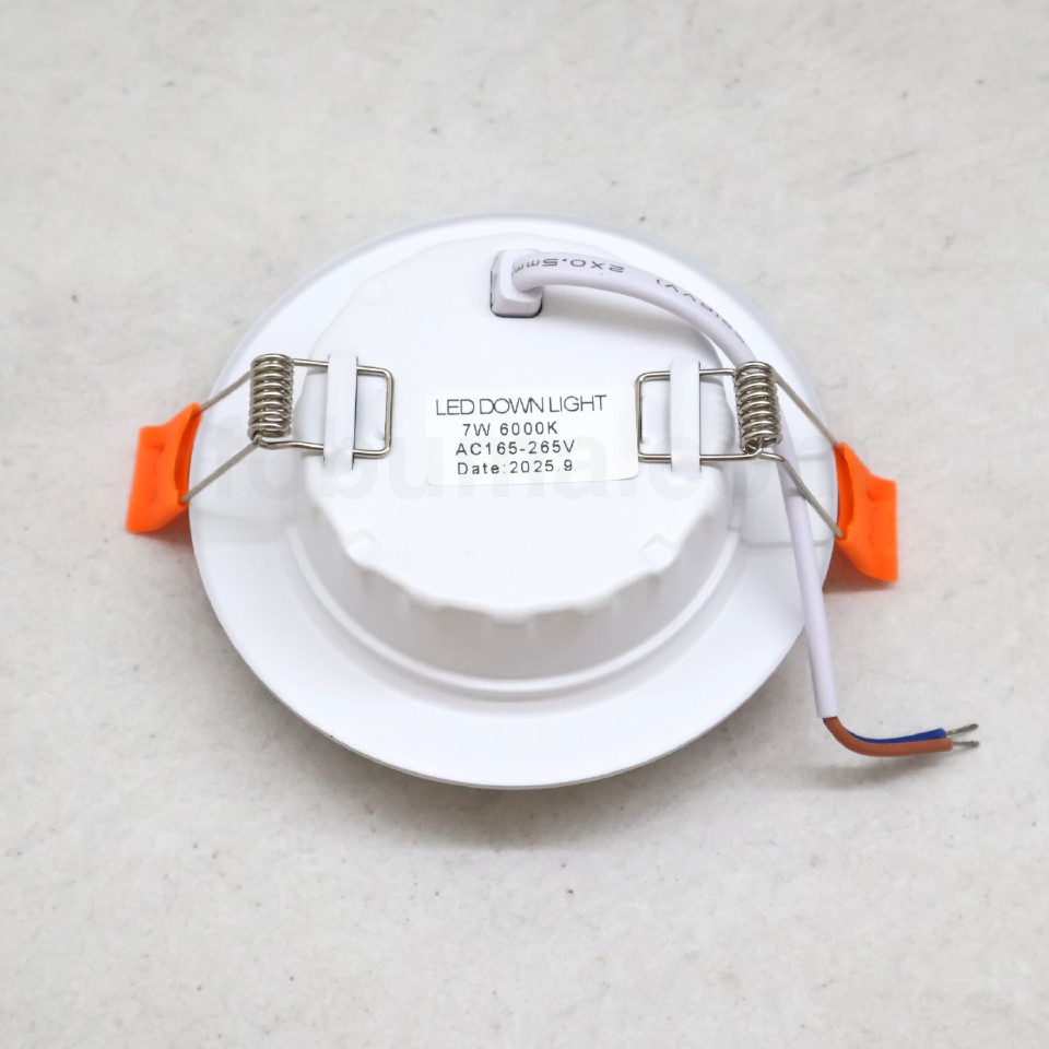 neo-neon-dowlight-7w