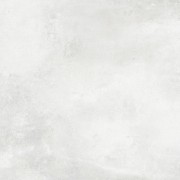 60x60 PNZ01 Naturalz Silver