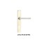 Reallock RLK TR 039 SS+PSS Lever Handle Plate 1