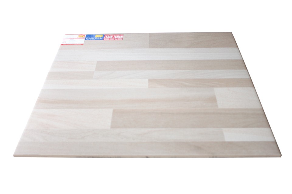 Roman Ceramic G557389 dTimber Bone 50x50 3