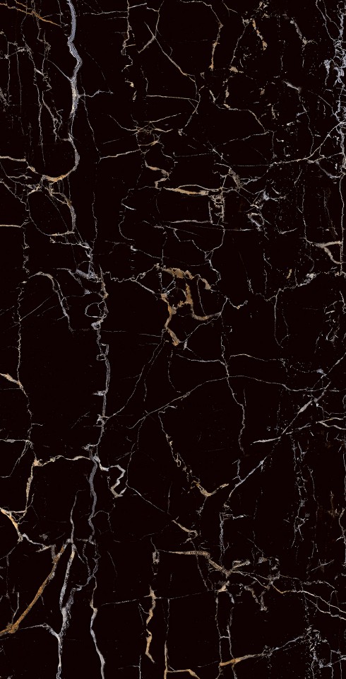 Roman Ceramic W63456R dPortoro Black 30x60 1