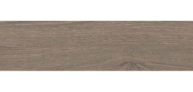 roman-granit-gt1222209r-dlyptus-walnut-120x20-motif-kayu
