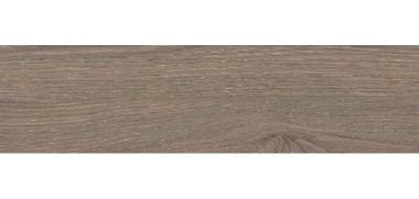 roman-granit-gt1222209r-dlyptus-walnut-120x20-motif-kayu