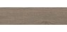 Roman Granit GT1222209R dLyptus Walnut 120x20 Motif Kayu 1