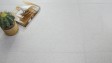 Roman Granit GT602251R dYokohama Bone 60x60 2