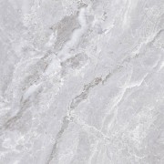 Granit GT609860FR dCaesar Grey 60x60