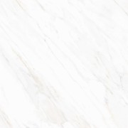Granit GT609866FR dSalvadori White 60x60