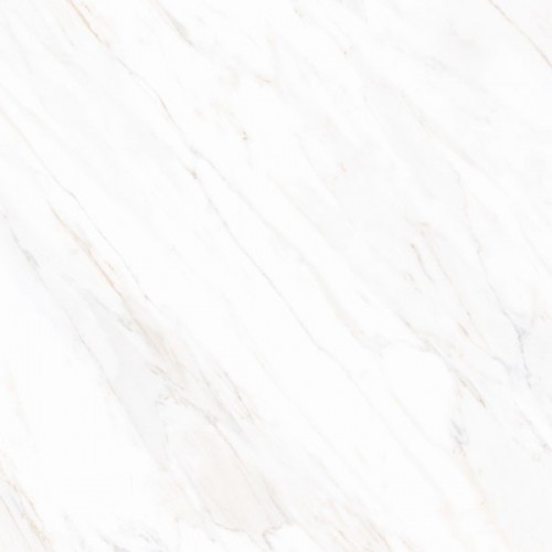 roman-granit-gt609866fr-dsalvadori-white-60x60