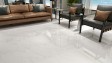 Roman Granit GT609866FR dSalvadori White 60x60 2