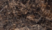 GT942058FR dRoyale Emperador 90x45