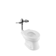 CW425J / TV150NLJ Single Bowl Toilet