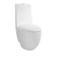 TOTO CW811NPJ / SW811NJP P-Trap Close - Coupled Toilet 1