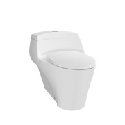 CW823PJ One Piece Toilet