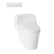 CW823REJ Avante 4.5/3 L Dual Flush Closet Duduk