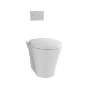 CW824NPJ Concealed Cistern Toilet