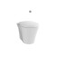 TOTO CW824NPJ / TV150NRNV3 Single Bowl Toilet 1