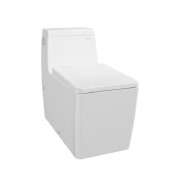 CW950PJ One Piece Toilet