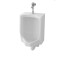 TOTO U57 Urinal 1