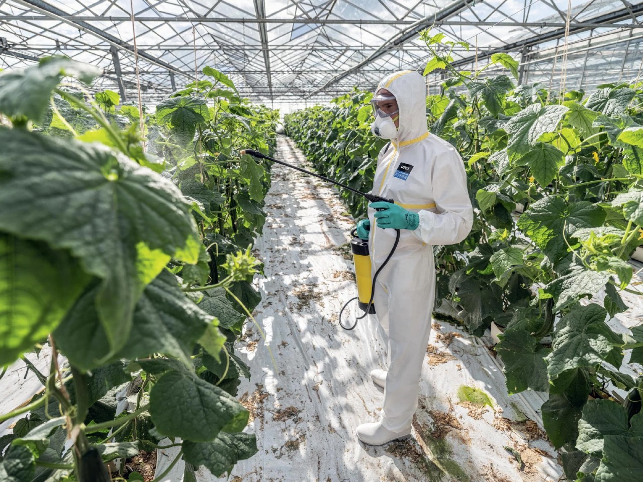 uvex-hand-protection-art-60122-profastrong-nf33-chemical-protection-glove-size-9