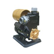 Wasser PW-139 EA Pompa Sumur Dangkal Otomatis