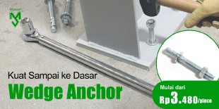 Wedge Anchor Mason